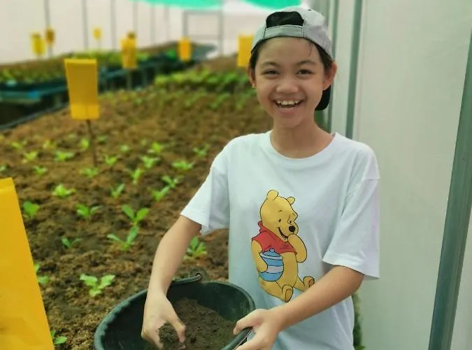 บ้านห้วยลูกนกฟาร์มสเตย์ Banhuailuknok Homestay