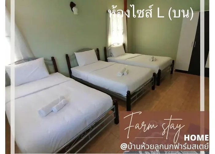 Homestay บ้านห้วยลูกนกฟาร์มสเตย์ Banhuailuknok *