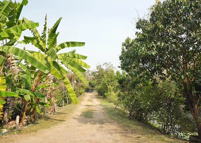 Homestay บ้านห้วยลูกนกฟาร์มสเตย์ Banhuailuknok *